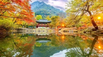 《連假旅遊指南》2025-2026請假貼士：精選出國跟團/郵輪行程＋台灣露營好去處✈️